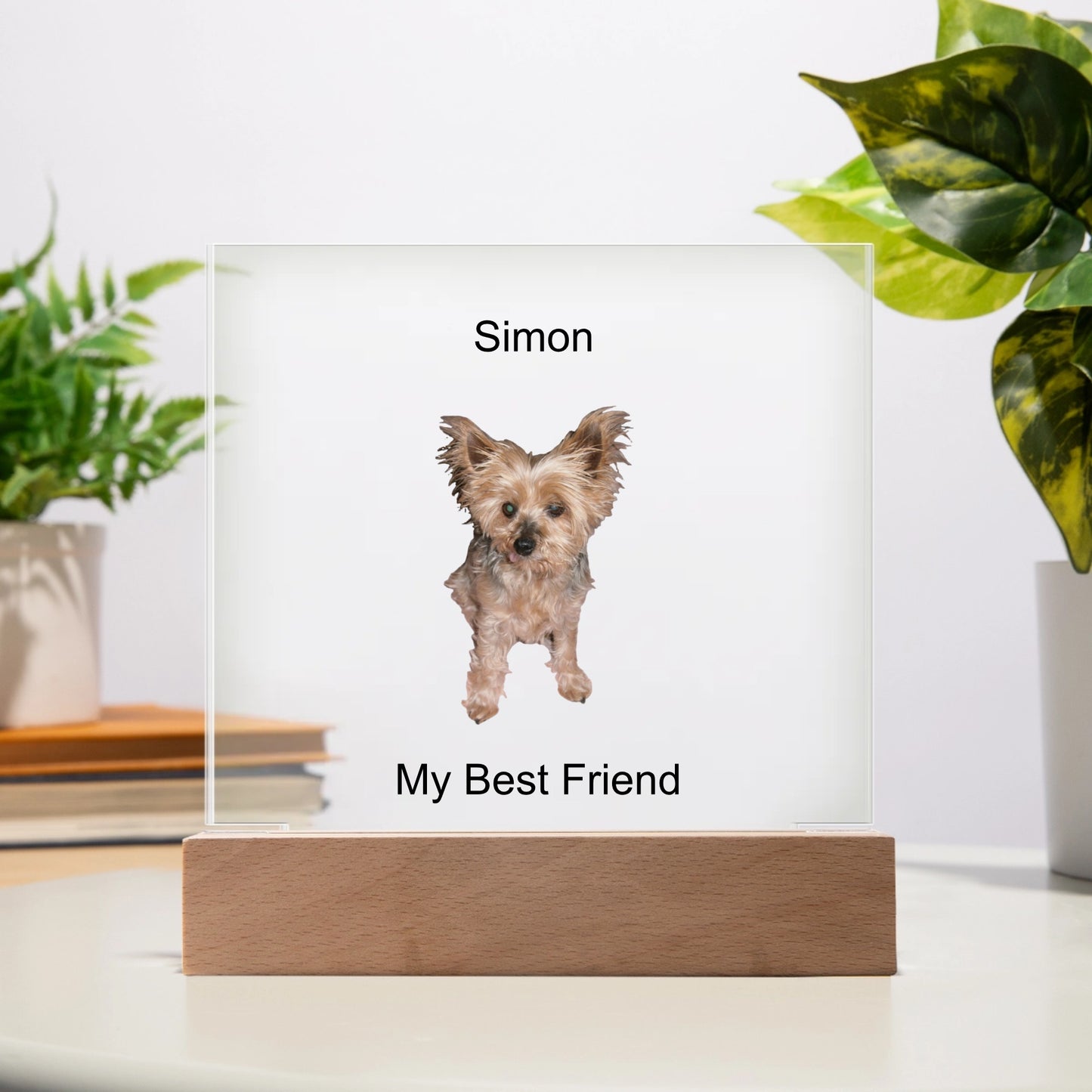 Single Pet with text