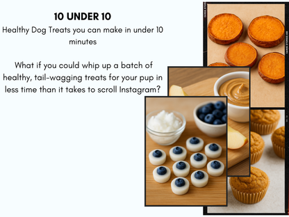 10 Under 10: Healthy Dog Treats