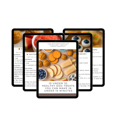 10 Under 10: Healthy Dog Treats