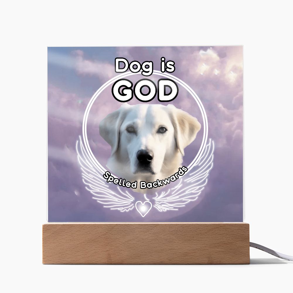 Dog is God spelled backwards