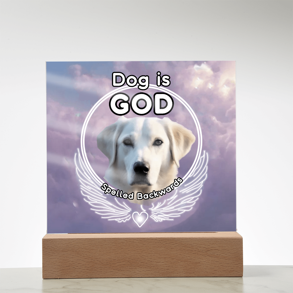 Dog is God spelled backwards