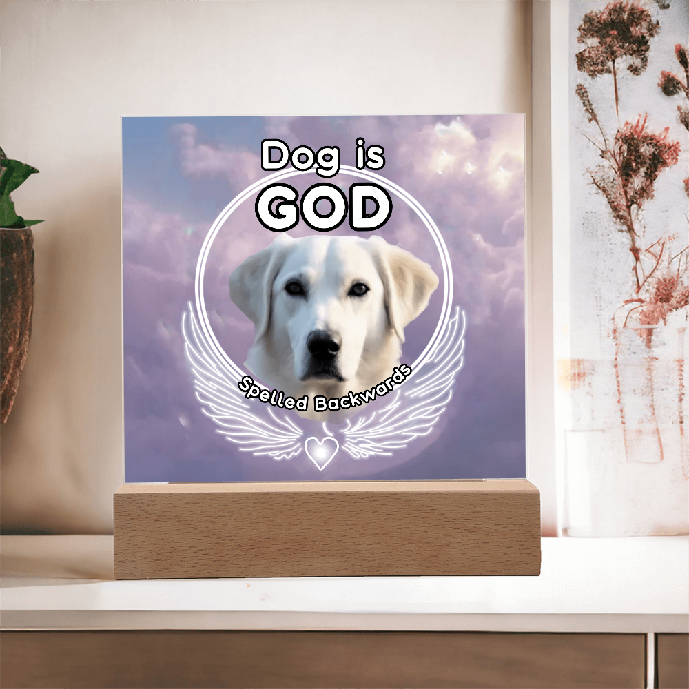 Dog is God spelled backwards